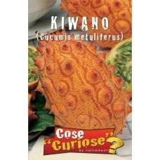Kiwano – Cucumis metuliferus 1