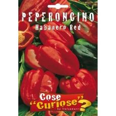 Peperoncino – Habanero Caribbean Red 1